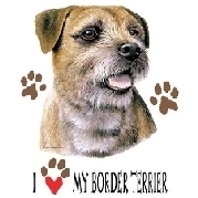 Border terrier t shirt 03